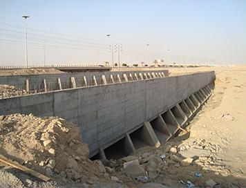 Construction of bridges and tunnels in Tabuk.